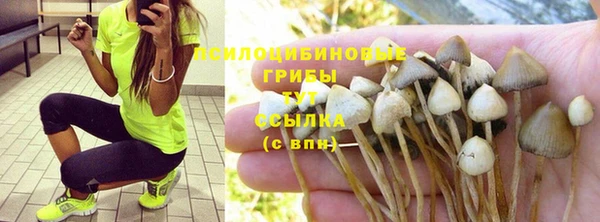 амфетамин Аркадак
